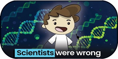 Junk DNA